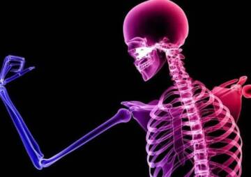 Maintaining bone health is a vital step in the health of the whole body