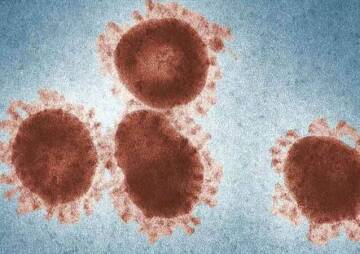 Защитите себя, зная эти советы о дезинфицирующих средствах, эффективных против коронавируса